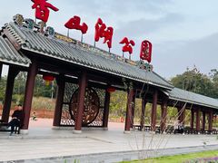 -香山湖公园