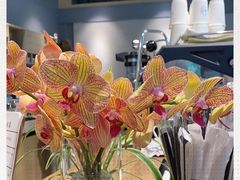 -GOTLOT COFFEE&KITCHEN角落厨房NOOK店