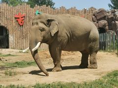 -济南野生动物世界