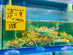 -坛南湾阿强农家乐.海鲜大排档老字号(福州地标美食店)