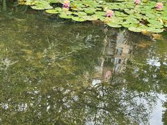 -晓港公园