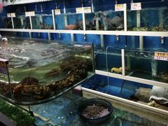 水产区-鑫悦楼煎蟹·16年海鲜大排档