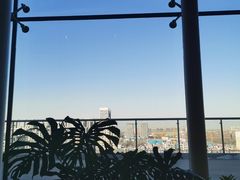 -Seesaw Coffee(朝阳大悦城店)