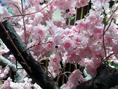 -学习谷日语培训日本留学·多语种外语教学(海淀人大分部)