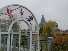 -荷兰花海