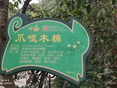 -呀诺达热带雨林