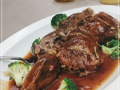 -丁老爷子苏香圆