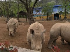 -西安秦岭野生动物园