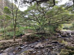 -广州市石门国家森林公园