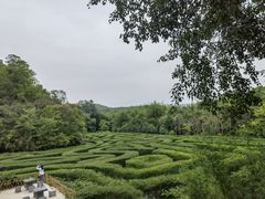 -大屏嶂森林公园