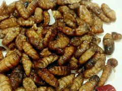 -双合盛自助烤肉(欧亚购物中心店)
