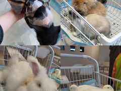 -怪兽屋·羊驼·猫咖·狗咖(俊华广场店)