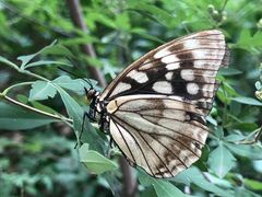 -碓臼峪自然风景区