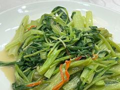 -凤城礼记鱼翅海鲜酒家(新马路总店)