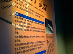 -上海海洋水族馆