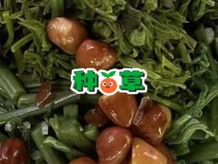 -京北渔家傲