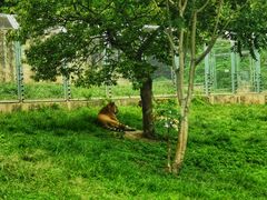 -西安秦岭野生动物园