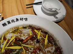 -太二酸菜鱼(汕头苏宁广场店)