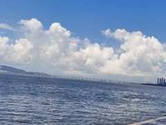 -深圳湾公园(南山区)
