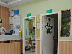-瑞鹏宠物医院·夜间急症·心超·猫科(祖庙分店)