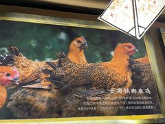 -云海肴·汽锅鸡·云南菜(天津国金汇店)