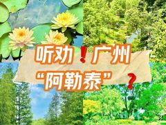 -云溪植物园
