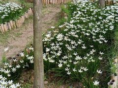 -牛岗山公园