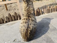 -正阳书局(西四南大街店)
