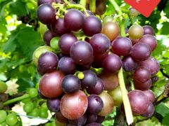 -中国电信(庄子沟营业厅)