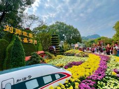 -南山植物园