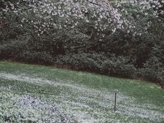 -中国茶叶博物馆(双峰馆区)