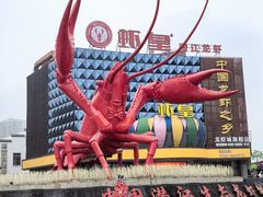 -虾皇(龙虾城旗舰店)