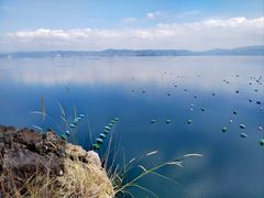 -抚仙湖禄充风景区