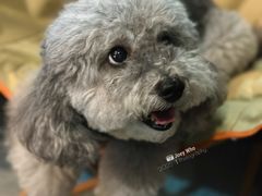 -E+有冰工厂·昆仑寒宫2(五角场店)