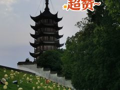 -观潮胜地公园
