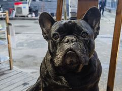 -凤来栖·净庭院·火锅(欧尚店)