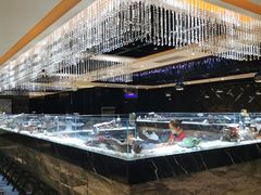 -红辣椒·川菜·火锅(张杨路店)