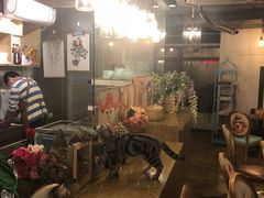 大堂-共舞时光猫咖·狗咖(新街口店)