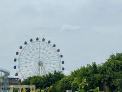 -百万葵园