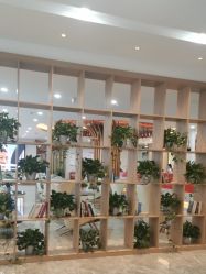 -碧莲盛·不剃发植发