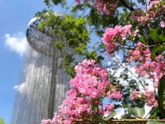 -广东花都湖国家湿地公园