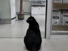 -美美宠物诊疗中心·异宠·骨科(滨江东信分院)