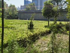 -西安大兴善寺