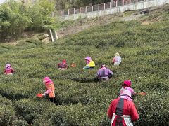 -南京金牛湖风景区
