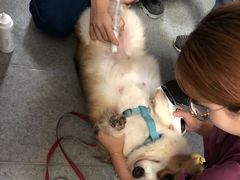 -爱诺耐芙动物医院(万博店)