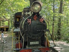 -五营红松林海景区