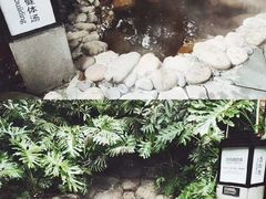 -融汇温泉