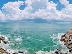 -广东惠东海龟国家级自然保护区