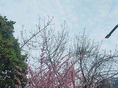 -武昌江滩