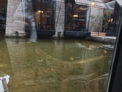 -渝半城经典川粤菜(重庆天地店)